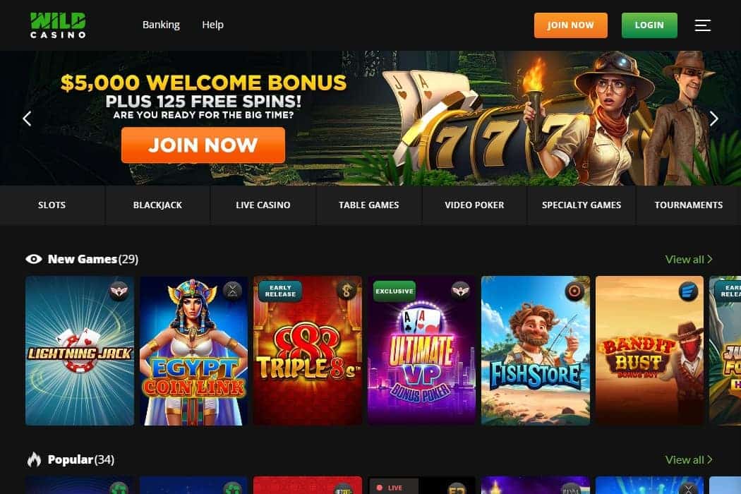 Wild Casino's Transparent Payouts: The New Standard for Online Bonuses